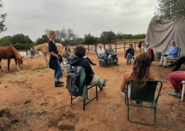 Cavalo Coaching Portugal