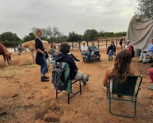 Cavalo Coaching Portugal