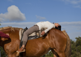 Auf einem Pferd liegen