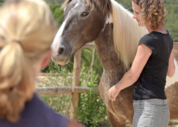 Pferdegestützes Coaching