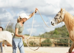 Horsemanship, Cavalo Coaching