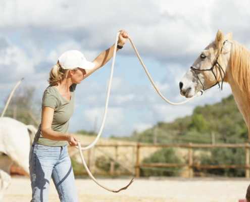 Horsemanship, Cavalo Coaching