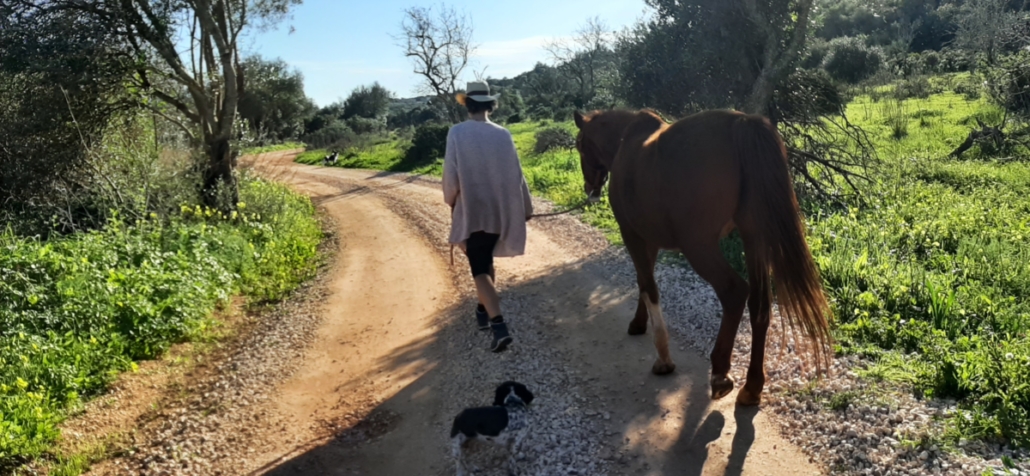 Mit Pferden wandern